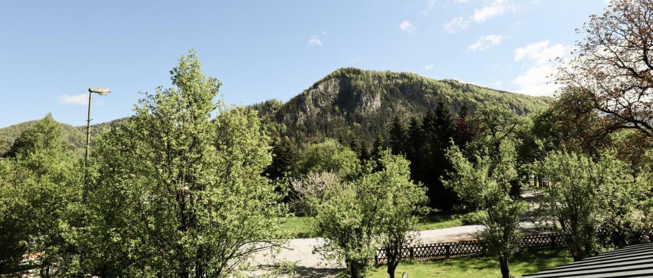 Villa Urlaub am Bauernhof Feldbauer Landl  Exterior foto